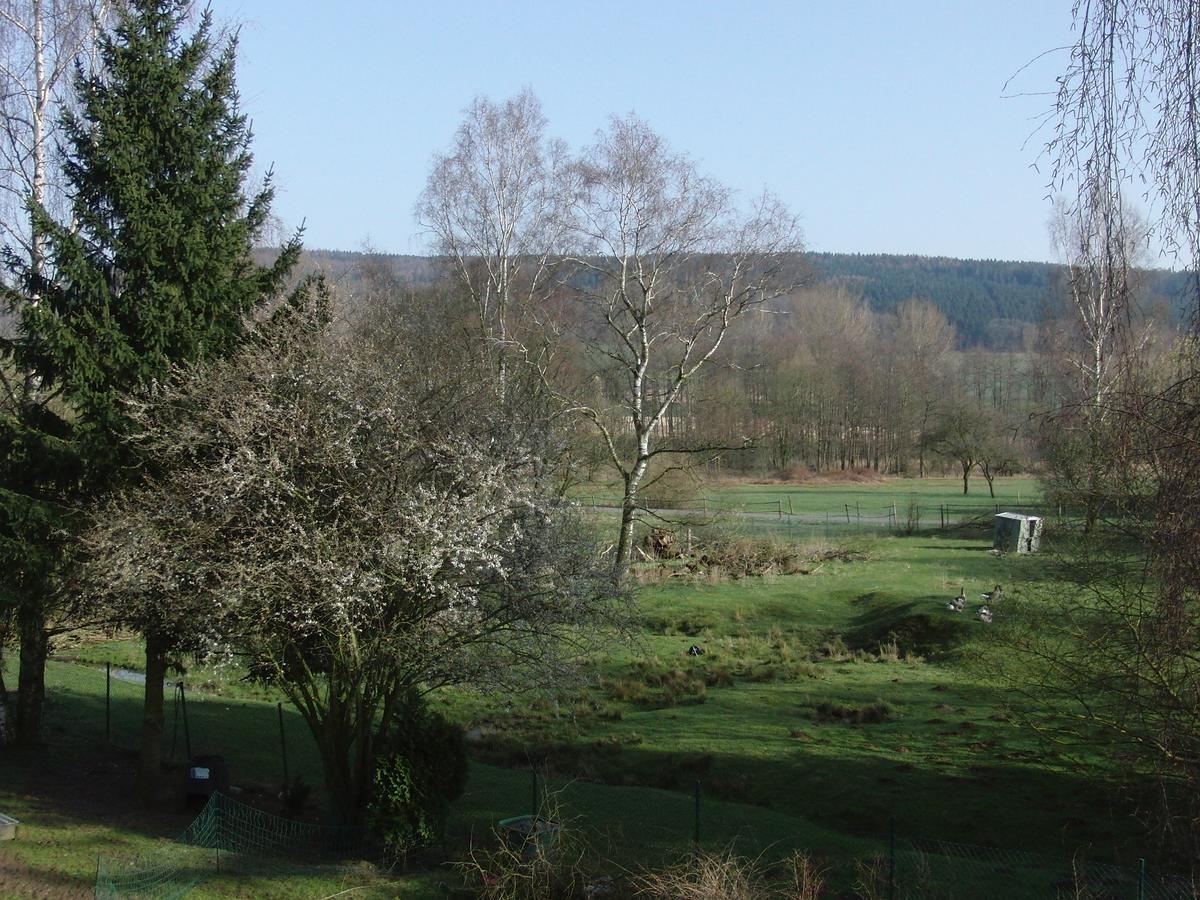 Guesthouse Herriot Springe Eksteriør billede